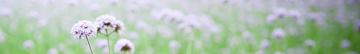 1.九州网页版登录入口携手西甲联赛开