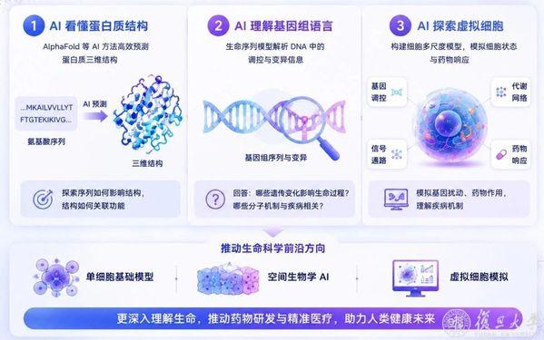 医学专业的你